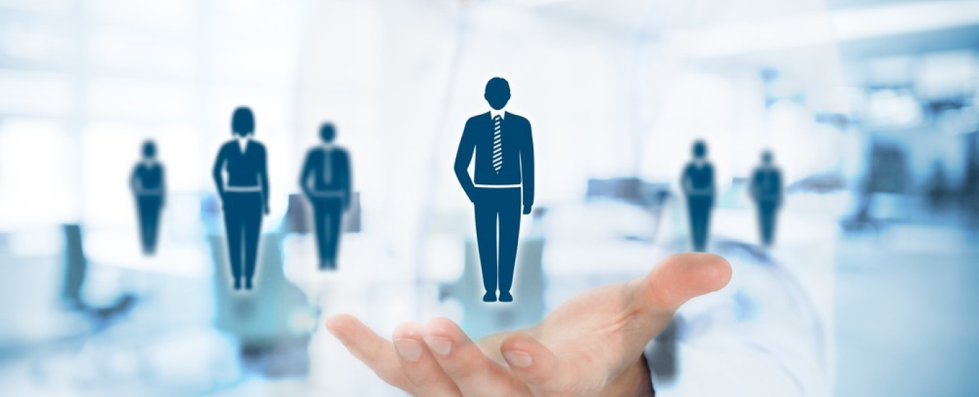 Human resource capacity